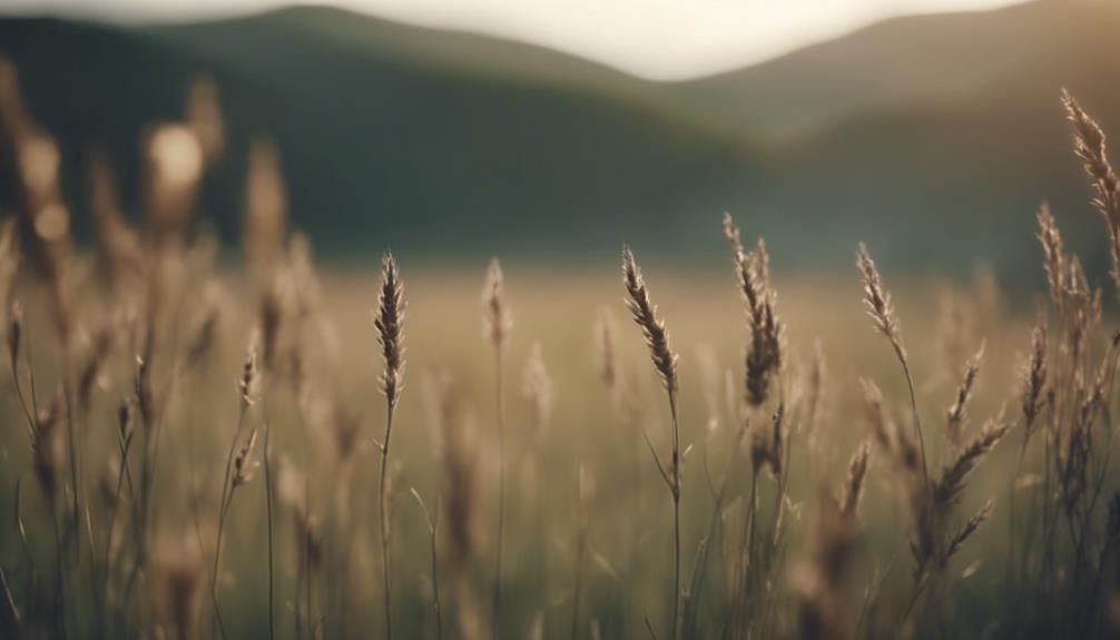 mastering depth of field