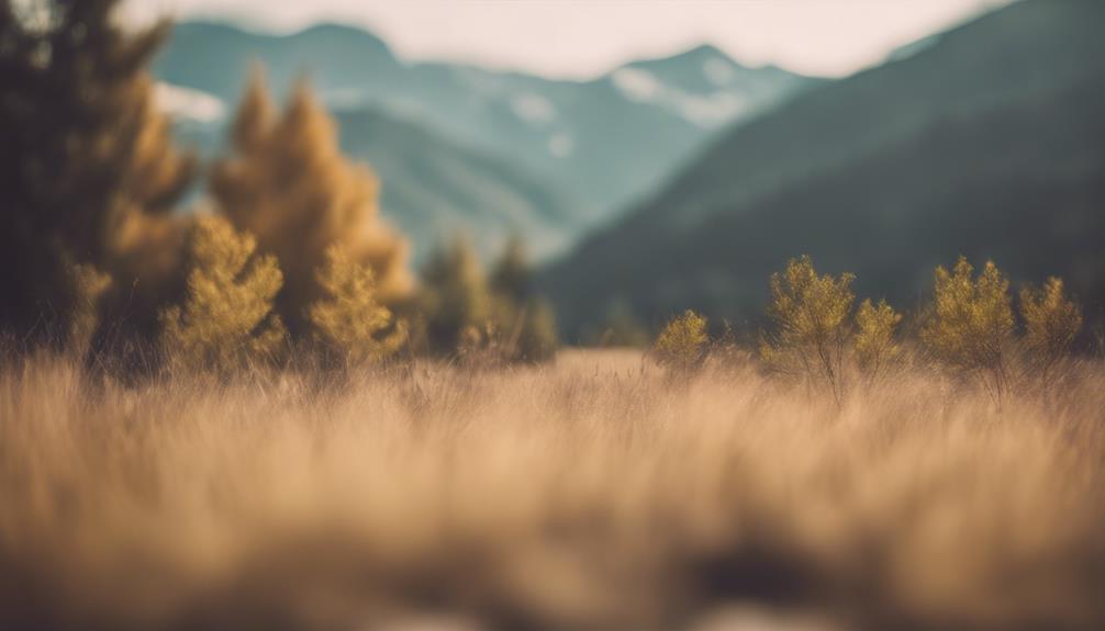 photography tips for depth